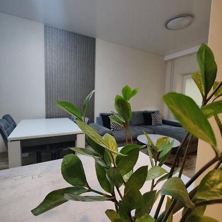 V15 Apartment 드루스키닝카이 외부 사진