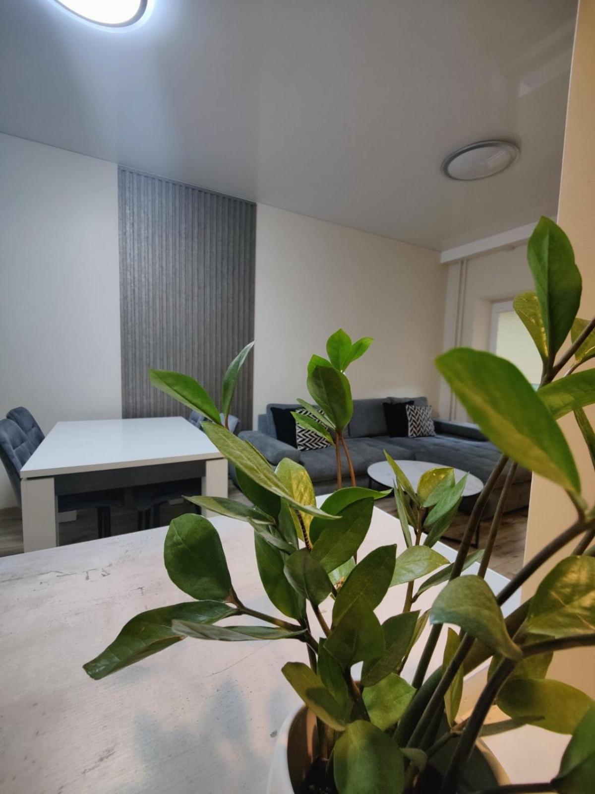 V15 Apartment 드루스키닝카이 외부 사진